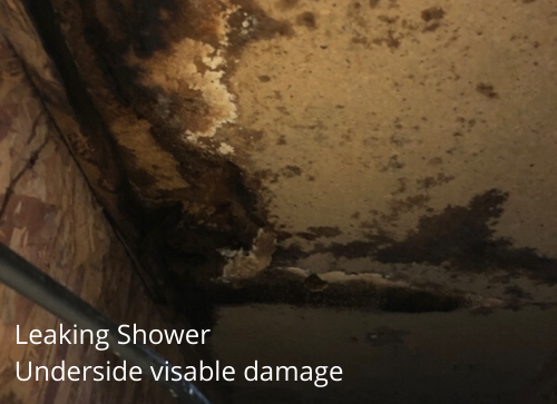 Leaking Shower Underside visable damage