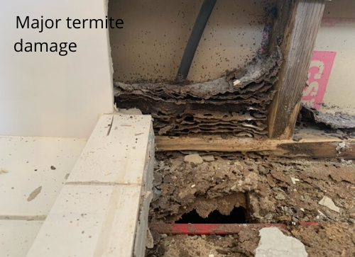 Massive termite damage